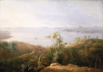 Zatoka na południowym wybrzeżu Nowej Holandii (Australia), styczeń 1802 r., podczas wyprawy Matthew Flindersa (1774-1814) na statku Investigator w latach 1801-1803, w celu sporządzenia mapy południowych lądów, malarz był częścią ekspedycji. autorstwa William Westall