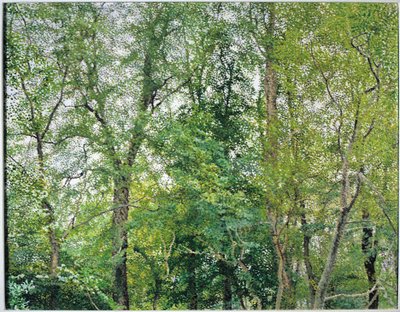 Jubileuszowa Plantacja autorstwa William Wilkins