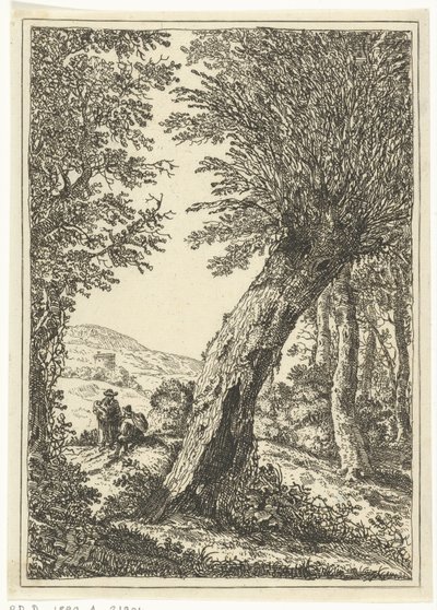 Wierzba autorstwa William Young Ottley