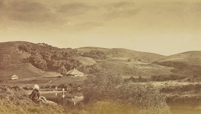 [Widok poziomy] autorstwa Willoughby Wallace Hooper