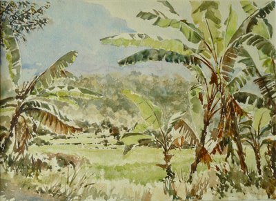 740 drzew bananowych, Ramboda autorstwa Wilson Clive