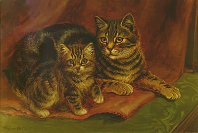 Kotka Tabby z kotkiem autorstwa Wilson Hepple