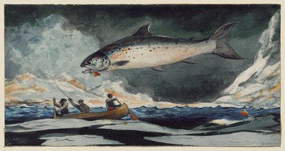 Ładny basen, rzeka Saguenay autorstwa Winslow Homer