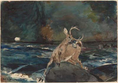 Dobry strzał, Adirondacks autorstwa Winslow Homer