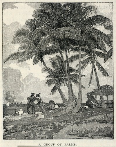 Grupa palm, z The Century Magazine, luty 1887 r. autorstwa Winslow Homer