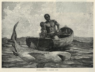 Handlarz, brama Nassau, łowienie rekinów - bar Nassau, z magazynu The Century, luty 1887 r. autorstwa Winslow Homer
