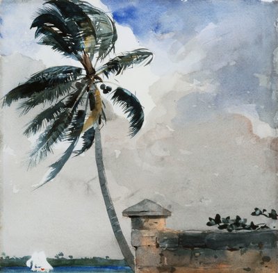 Tropikalna bryza, Nassau, 1889-90 autorstwa Winslow Homer