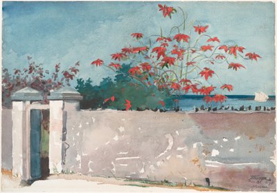 Ściana, Nassau autorstwa Winslow Homer