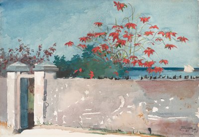 Ściana, Nassau, 1898. autorstwa Winslow Homer