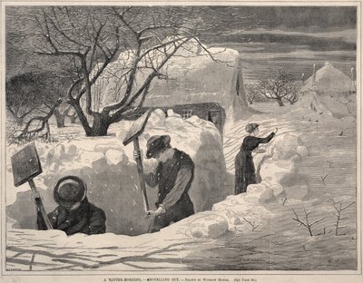  autorstwa Winslow Homer
