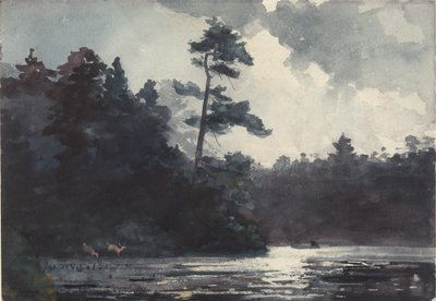 Jezioro Adirondack autorstwa Winslow Homer