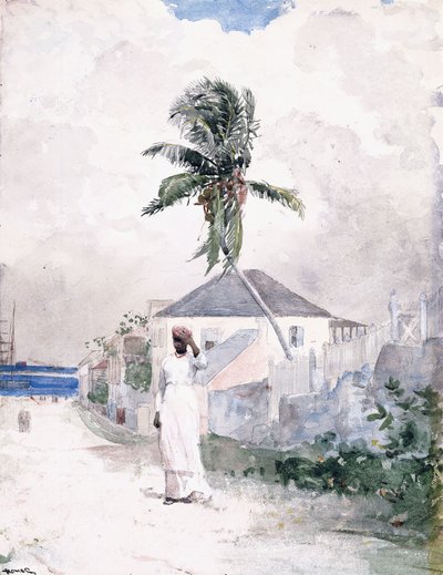 Wzdłuż drogi, Bahamy, 1885 autorstwa Winslow Homer