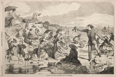 Sierpień na wsi - brzeg morza autorstwa Winslow Homer