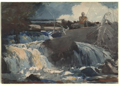 Casting w wodospadach autorstwa Winslow Homer
