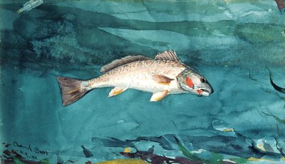 Bas kanałowy, 1904. autorstwa Winslow Homer