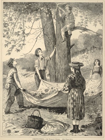 Chestnutting, z Every Saturday: An Illustrated Journal of Choice Reading, 29 października 1870 r. autorstwa Winslow Homer