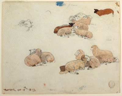 Rysunek, odpoczywająca owca, 15 października 1878 r. autorstwa Winslow Homer