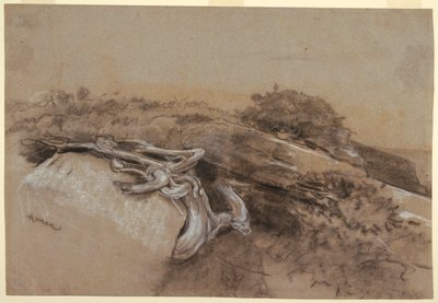 Rysunek, Studium korzeni drzew, Prout