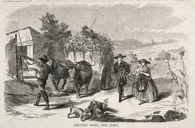 Wwożenie kukurydzy do domu autorstwa Winslow Homer