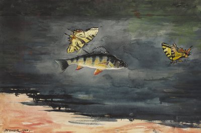 Ryby i Motyle, 1900 autorstwa Winslow Homer