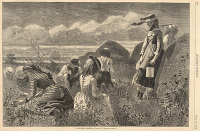 Zbieranie jagód, z Harper autorstwa Winslow Homer