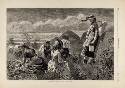 Zbieranie jagód, z Harper