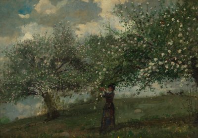 Dziewczyna zbierająca kwiaty jabłoni autorstwa Winslow Homer