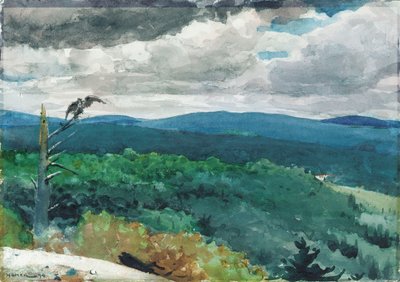 Pagórkowaty krajobraz, 1894 autorstwa Winslow Homer