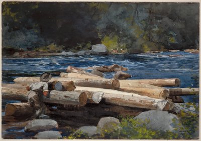 Rzeka Hudson autorstwa Winslow Homer