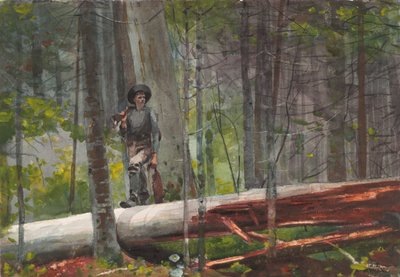  autorstwa Winslow Homer