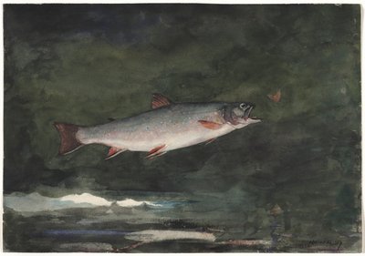 Skaczący pstrąg, 1889. autorstwa Winslow Homer