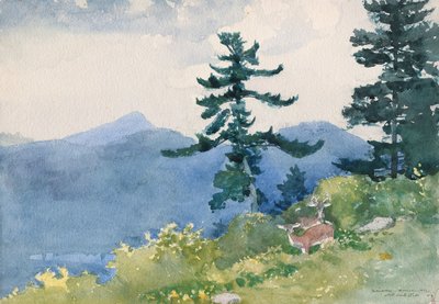 North Woods Club, Adirondacks (Przerwany Tete-a-Tete) autorstwa Winslow Homer