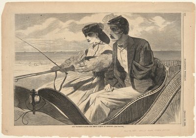 Nasze wodopoje autorstwa Winslow Homer