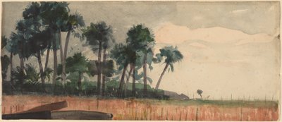 Palmy, czerwone autorstwa Winslow Homer