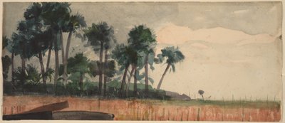 Czerwone palmy autorstwa Winslow Homer