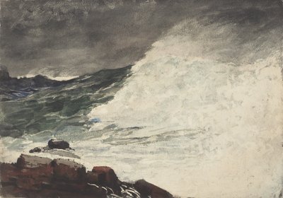 Szyja Prouta, Przełamująca Fala, 1887 autorstwa Winslow Homer