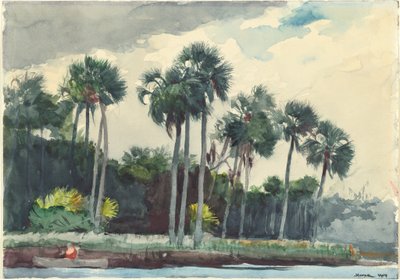 Czerwona koszula, Homosassa, Floryda autorstwa Winslow Homer