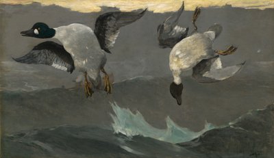 Prawo lewo autorstwa Winslow Homer