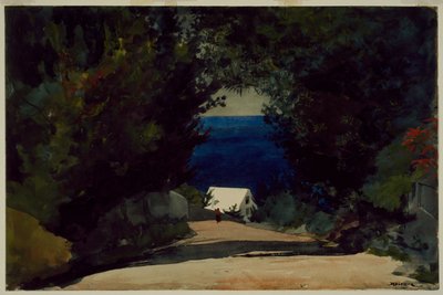 Droga na Bermudach, ok. 1899-1901 (akwarela na papierze) autorstwa Winslow Homer
