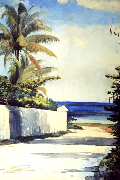 Droga w Nassau, 1898-99 autorstwa Winslow Homer