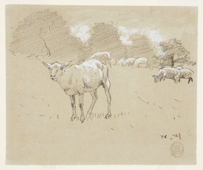 Owce pasące się na polu autorstwa Winslow Homer