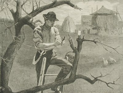  autorstwa Winslow Homer