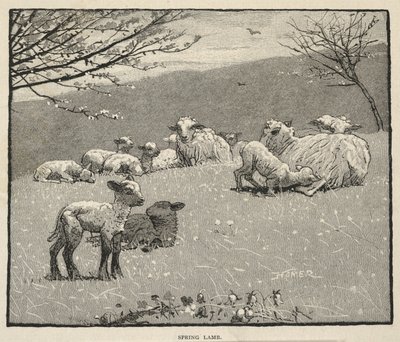  autorstwa Winslow Homer