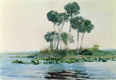 Rzeka St. John