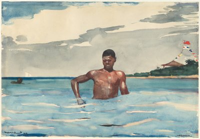  autorstwa Winslow Homer