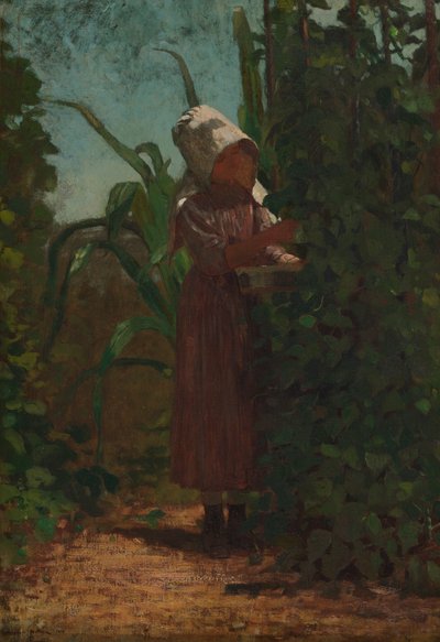 Zbieracz fasoli autorstwa Winslow Homer