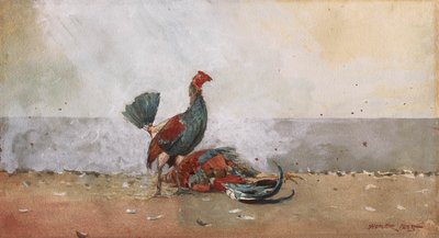 Walka kogutów autorstwa Winslow Homer