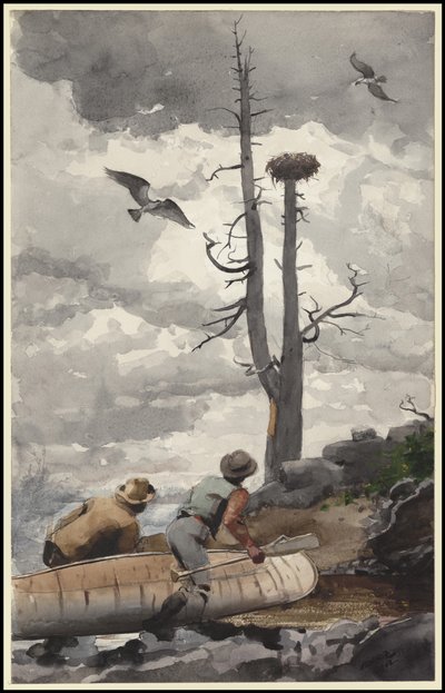 Orle Gniazdo, 1902 autorstwa Winslow Homer