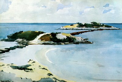 Ulubieniec, 1899-1901 (wc i ołówek na papierze) autorstwa Winslow Homer