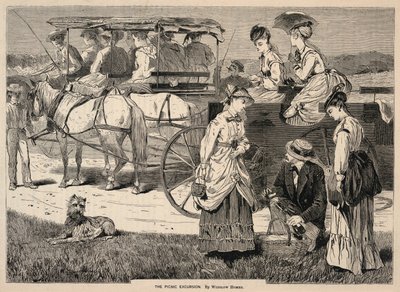 The Picnic Excursion, z Appletons
